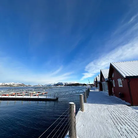 Norsk Havbrukssenter - Rorbuer Курортный комплекс Брённёйсунн